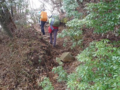 あせびの登山道.jpg