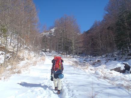 快晴の下雪の林道歩き.jpg