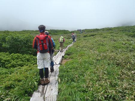 木道を行く、山頂はガスの中です.jpg