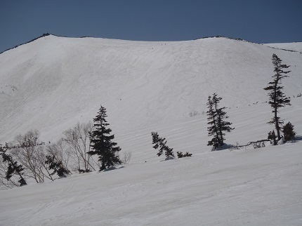 白馬乗鞍岳の大斜面.jpg