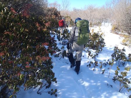 稜線の積雪は30cm位あり.jpg
