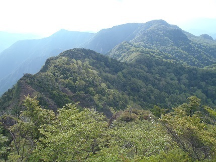 辿って来た庚申山からの稜線.jpg